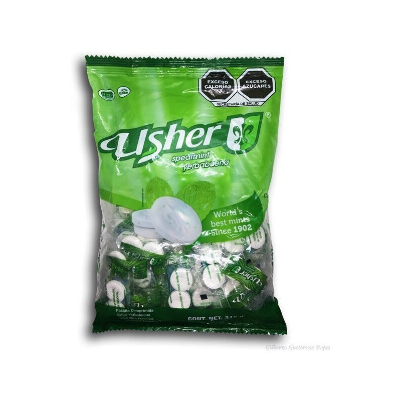 Dulce Caramelo Usher Sabor Yerbabuena 2 Pastllas 100 Piezas - Eurotruck Mexico