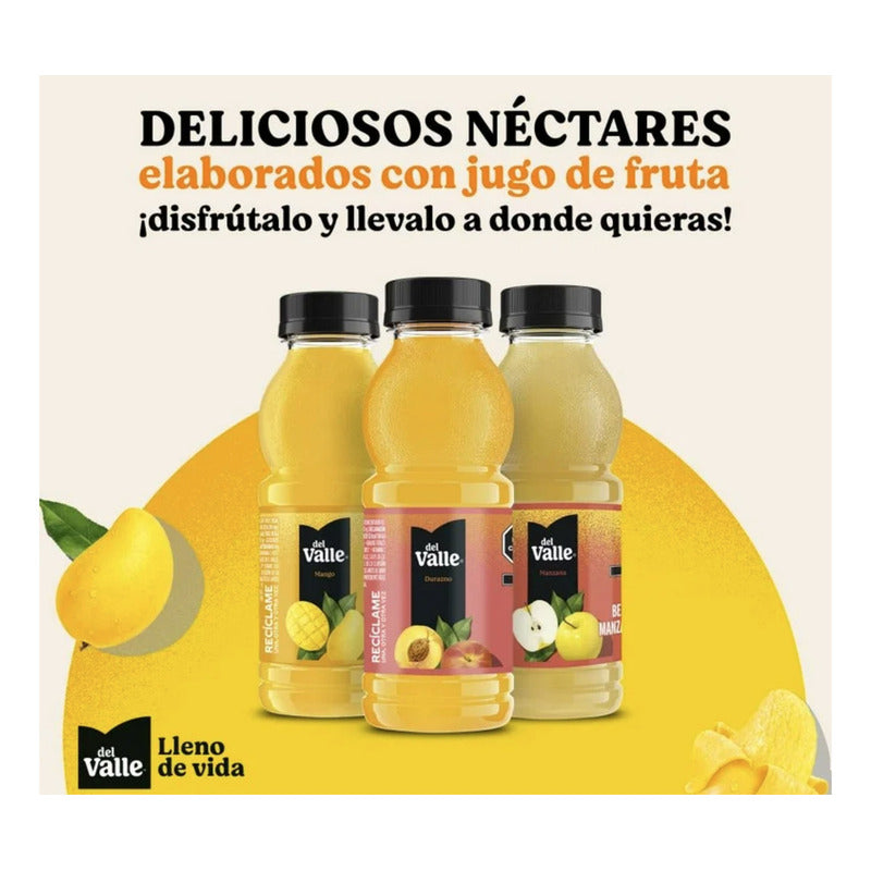 Jugo Del Valle 16 Piezas 237ml Mango Durazno Manzana - Eurotruck Mexico