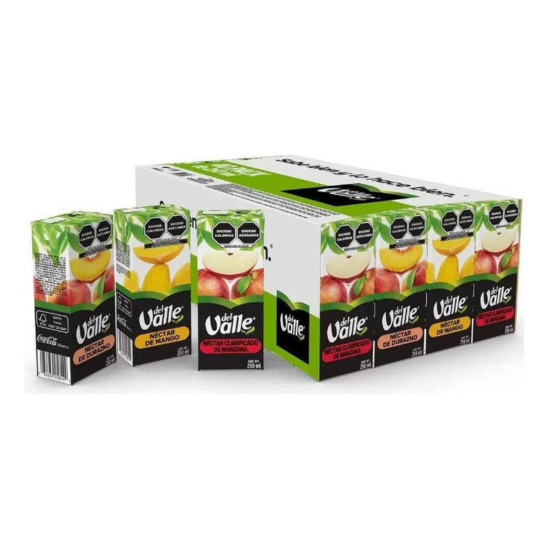 Pack 40 Jugos Del Valle Kids Nectares Frutales De 200ml C/u - Eurotruck Mexico