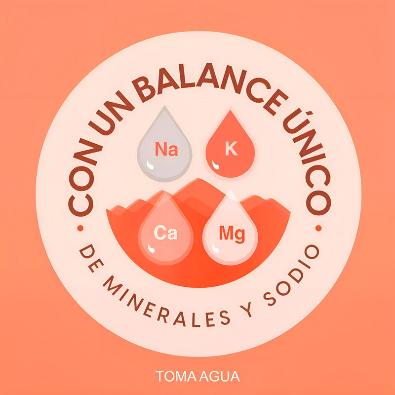 Bonafont Agua Natural De 2l 8 Piezas - Eurotruck Mexico