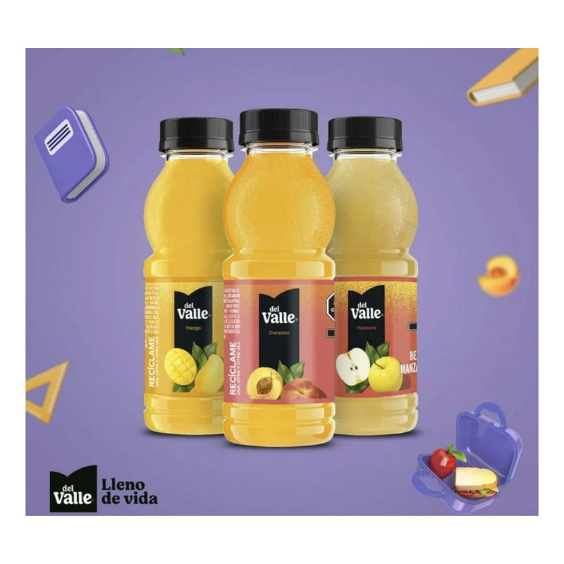 Jugo Del Valle 16 Piezas 237ml Mango Durazno Manzana - Eurotruck Mexico